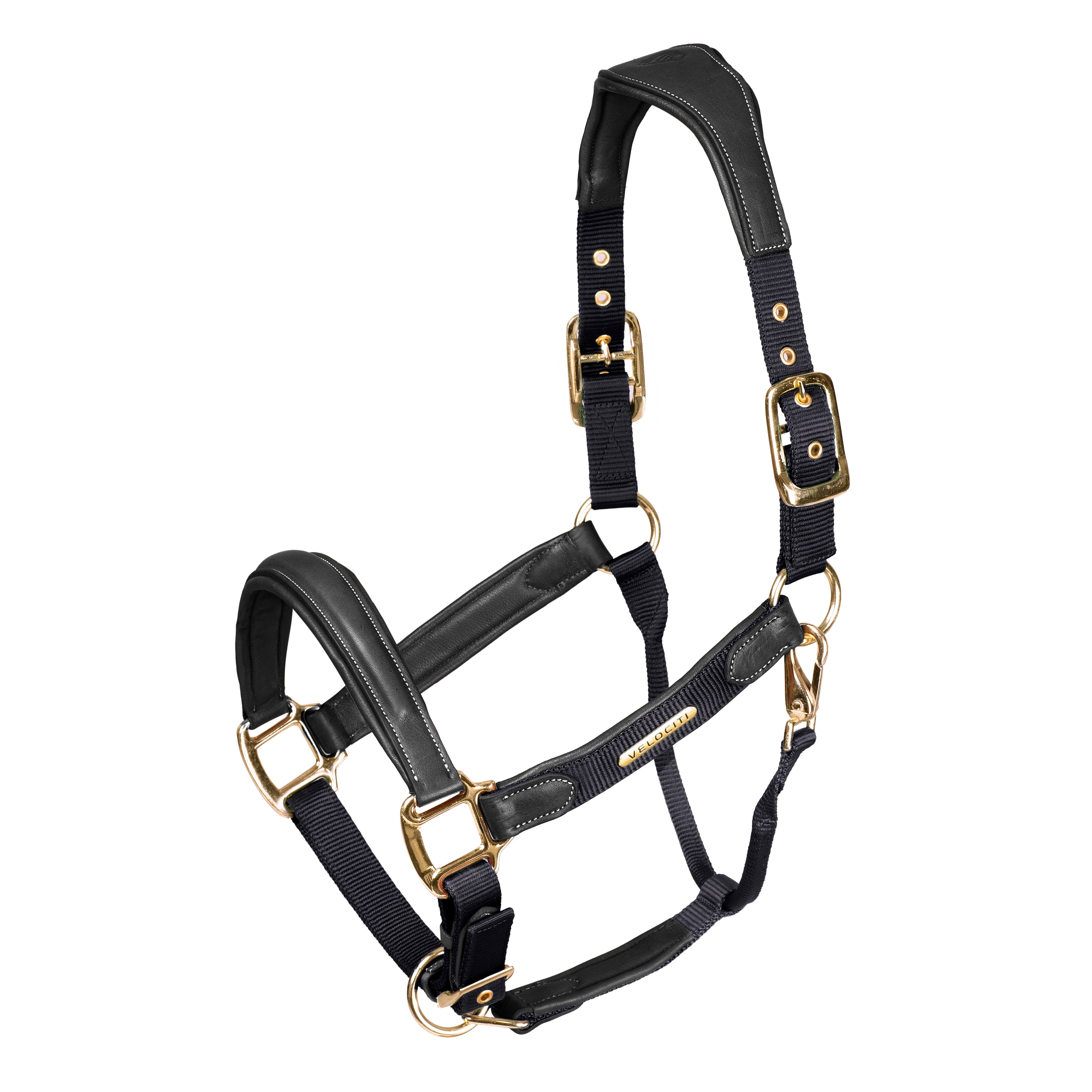 Lusso Padded Halter - Leather Breakaway - Black