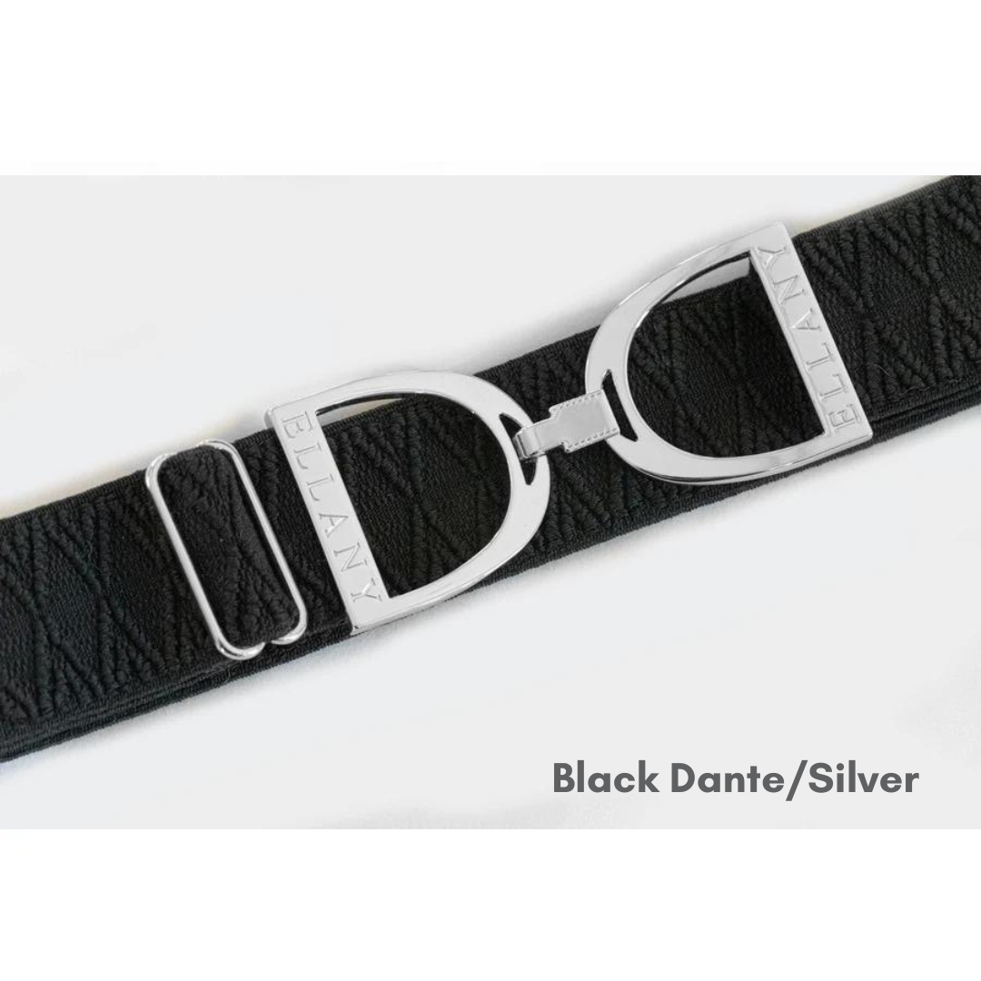 Ellany Stirrup Irons Elastic Belt - Black Dante/Silver