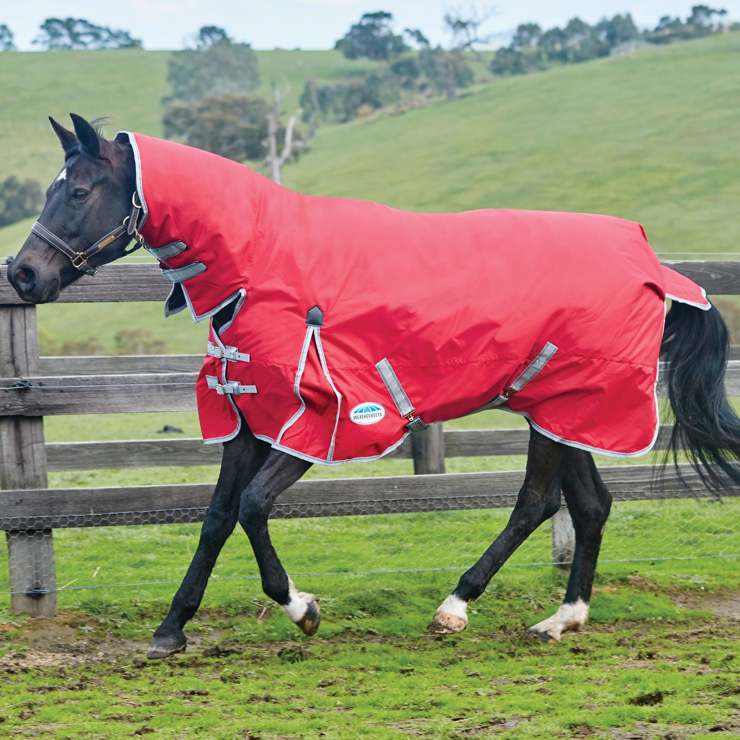 Weatherbeeta Comfitec Classic Combo Neck - Medium 220g - Red/Silver/Navy