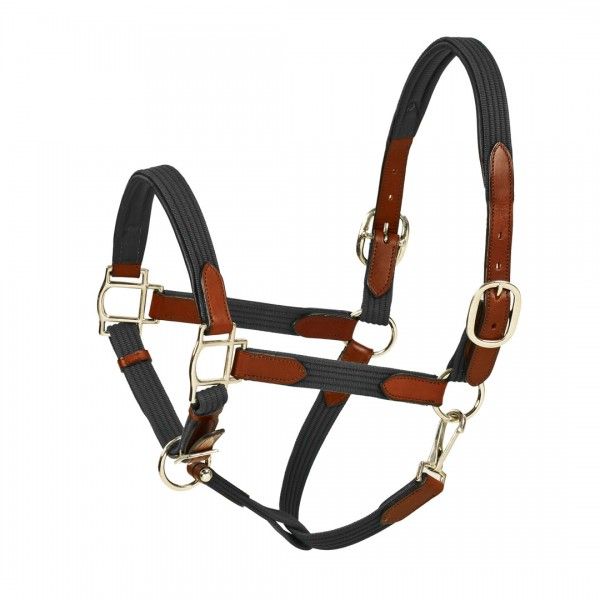 HK Americana Leather Padded Web Halter - Black/Australian Nut