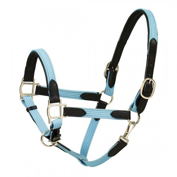 HK Americana Leather Padded Web Halter - Light Blue/Black