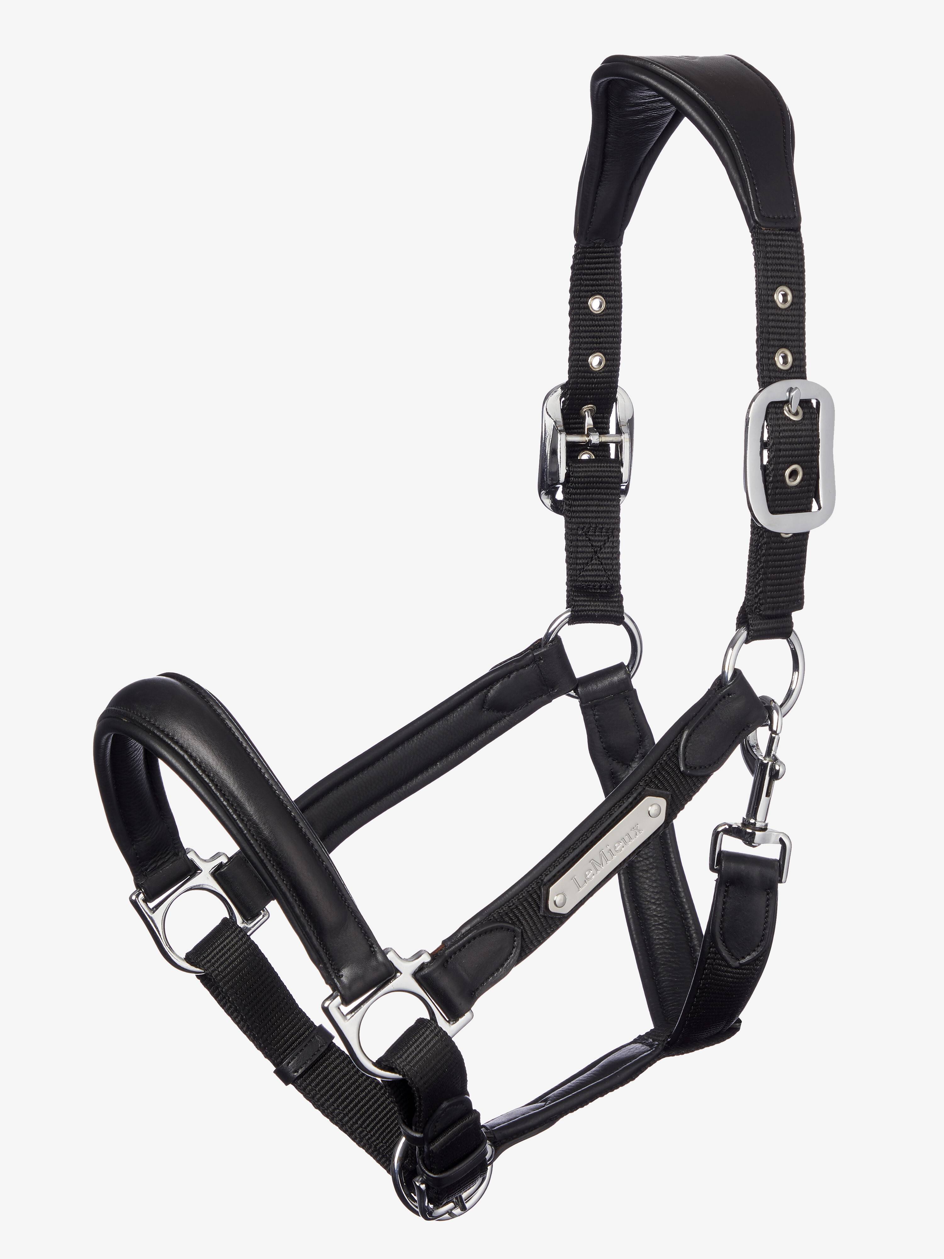 LeMieux Capella Halter - Black