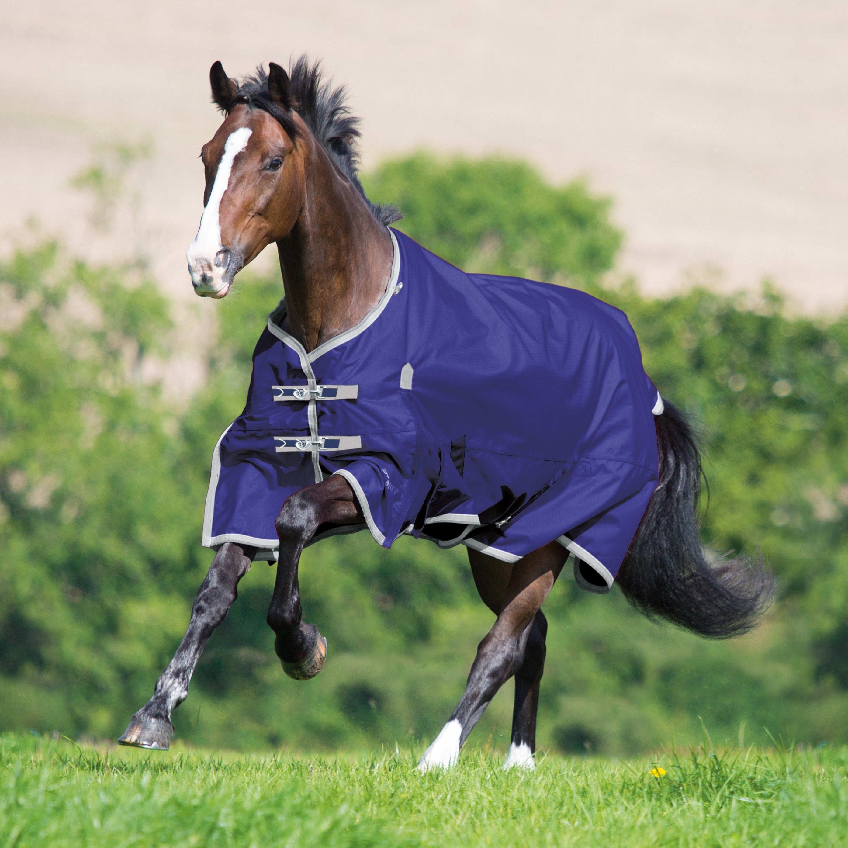 Shires Highlander Plus Lite Standard Neck - Navy