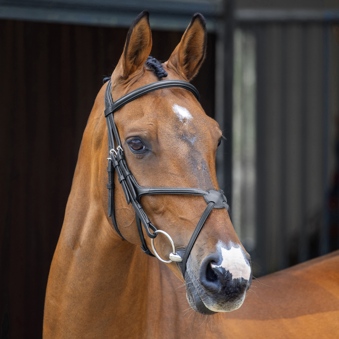 Shires Lusso Figure 8 Bridle - Black