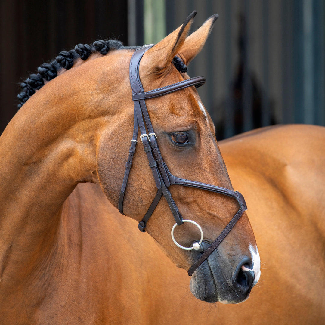 Shires Lusso Figure 8 Bridle - Havana