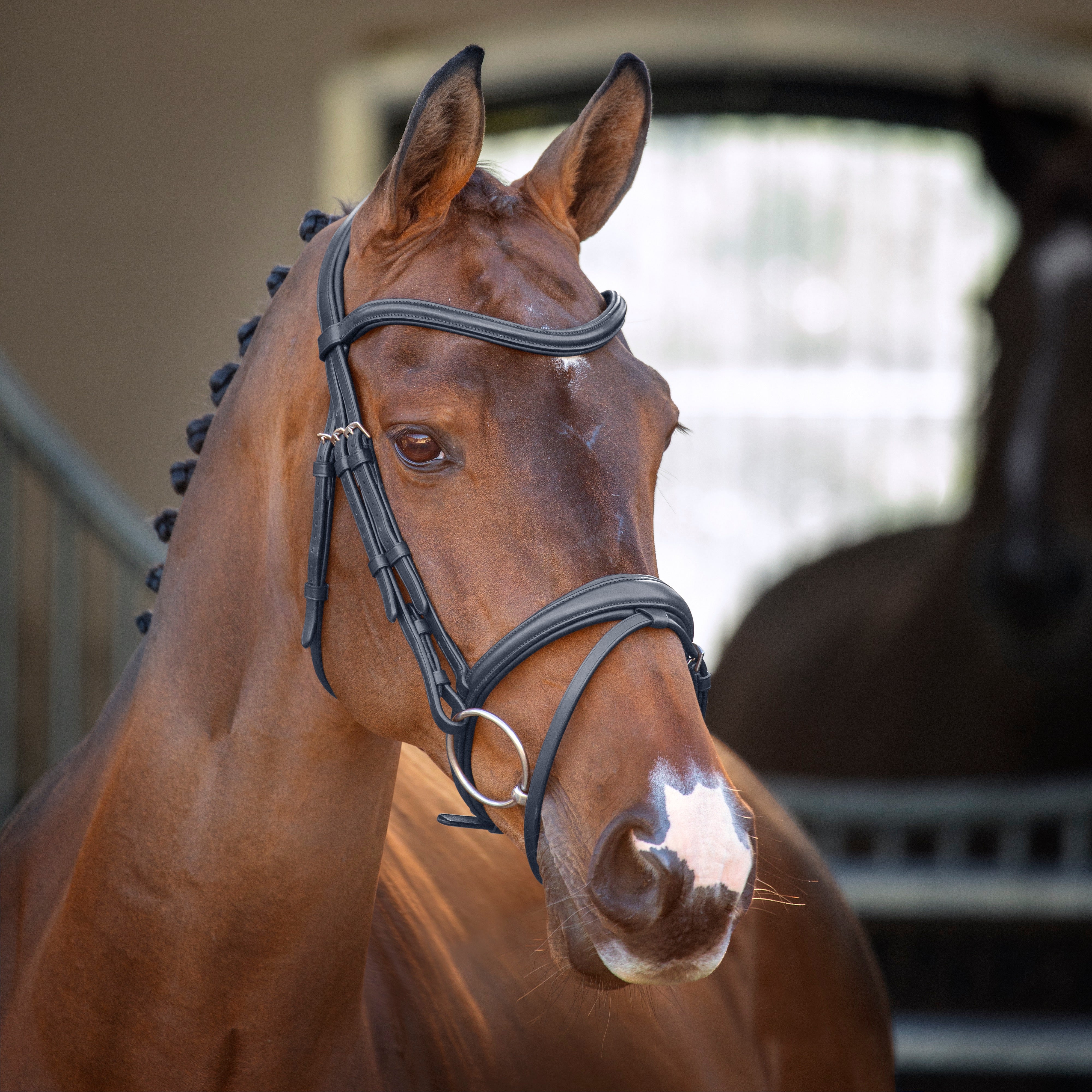 Shires Lusso Padded Raised Flash Bridle - Black