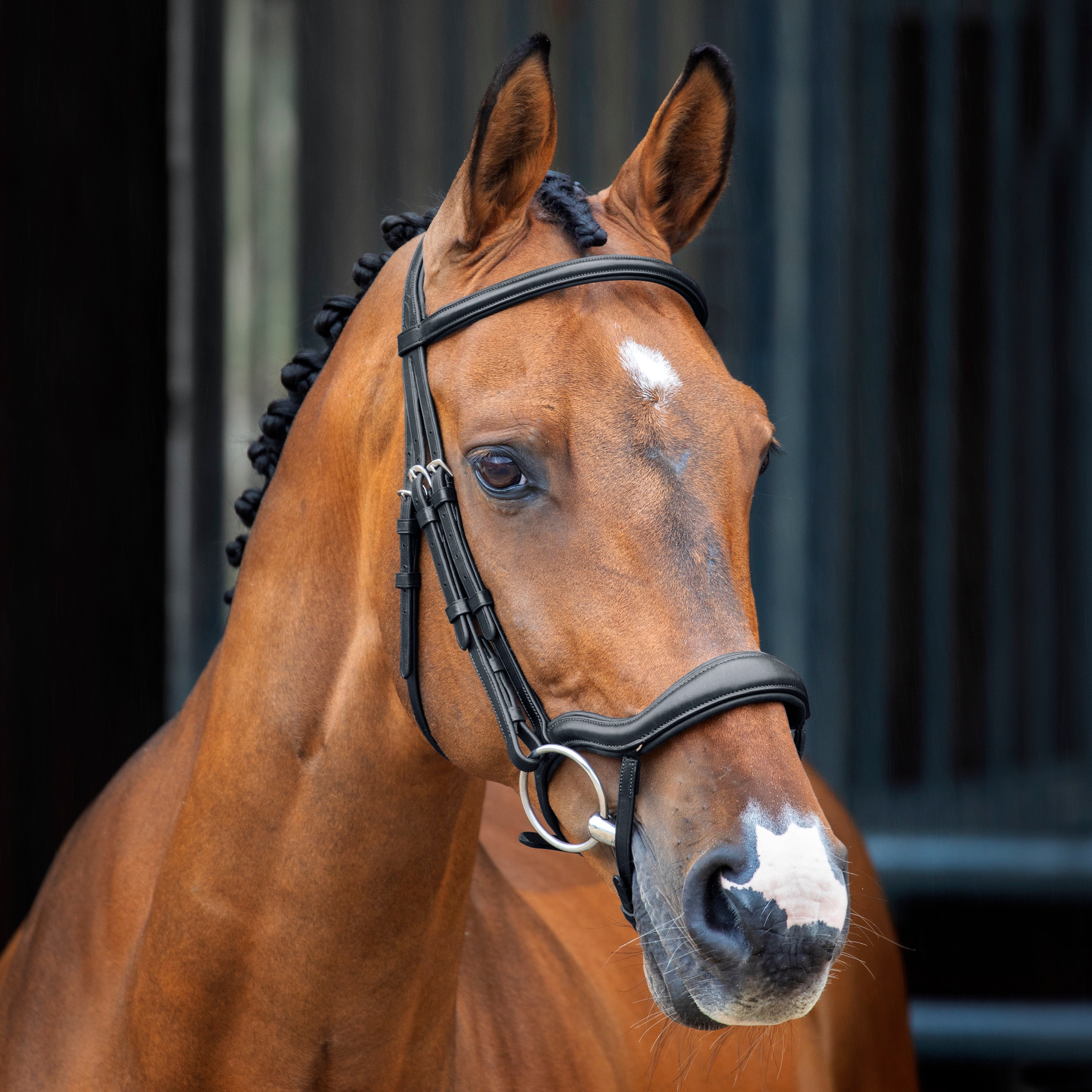 Shires Lusso Ergonomic Flash Bridle - Black