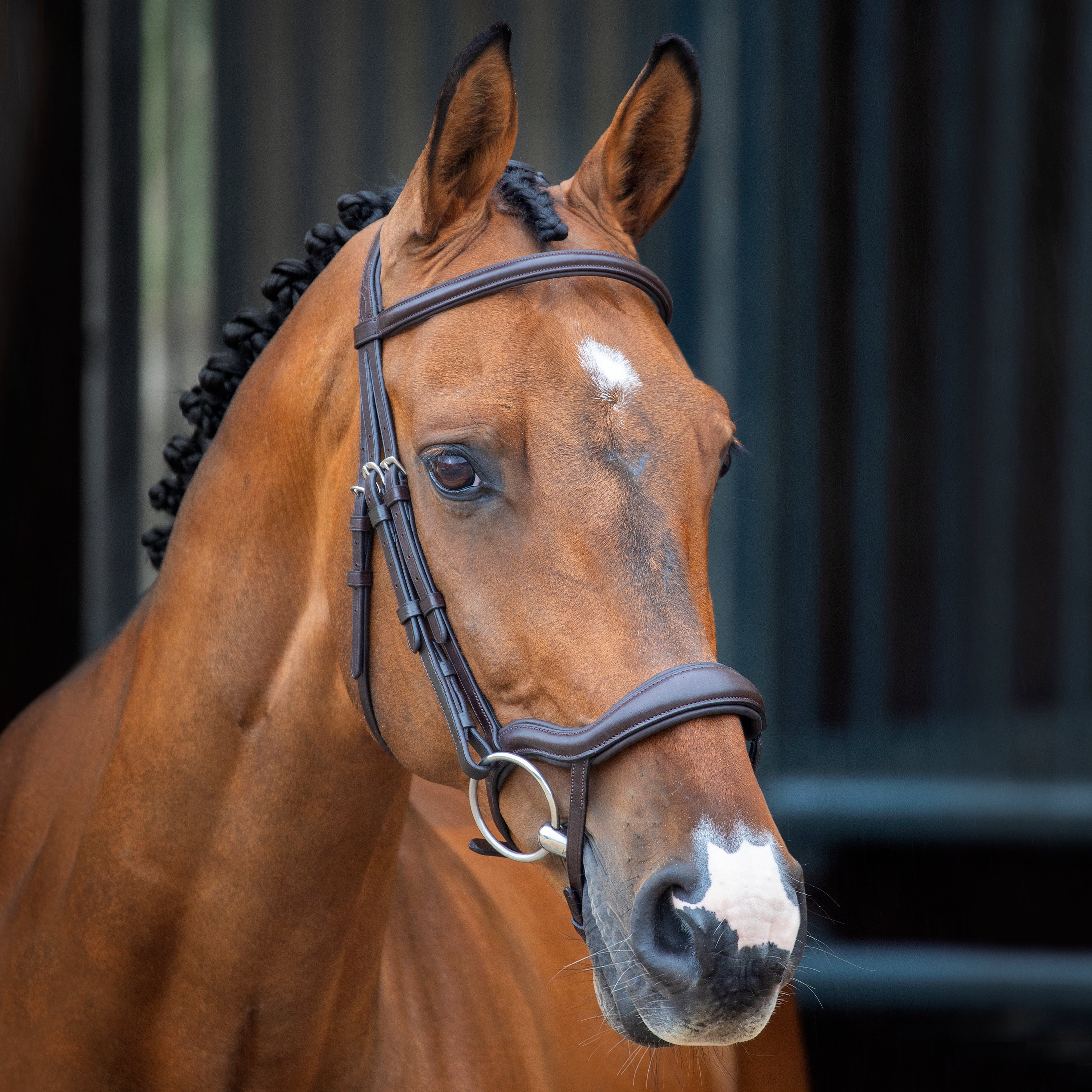 Shires Lusso Ergonomic Flash Bridle - Havana