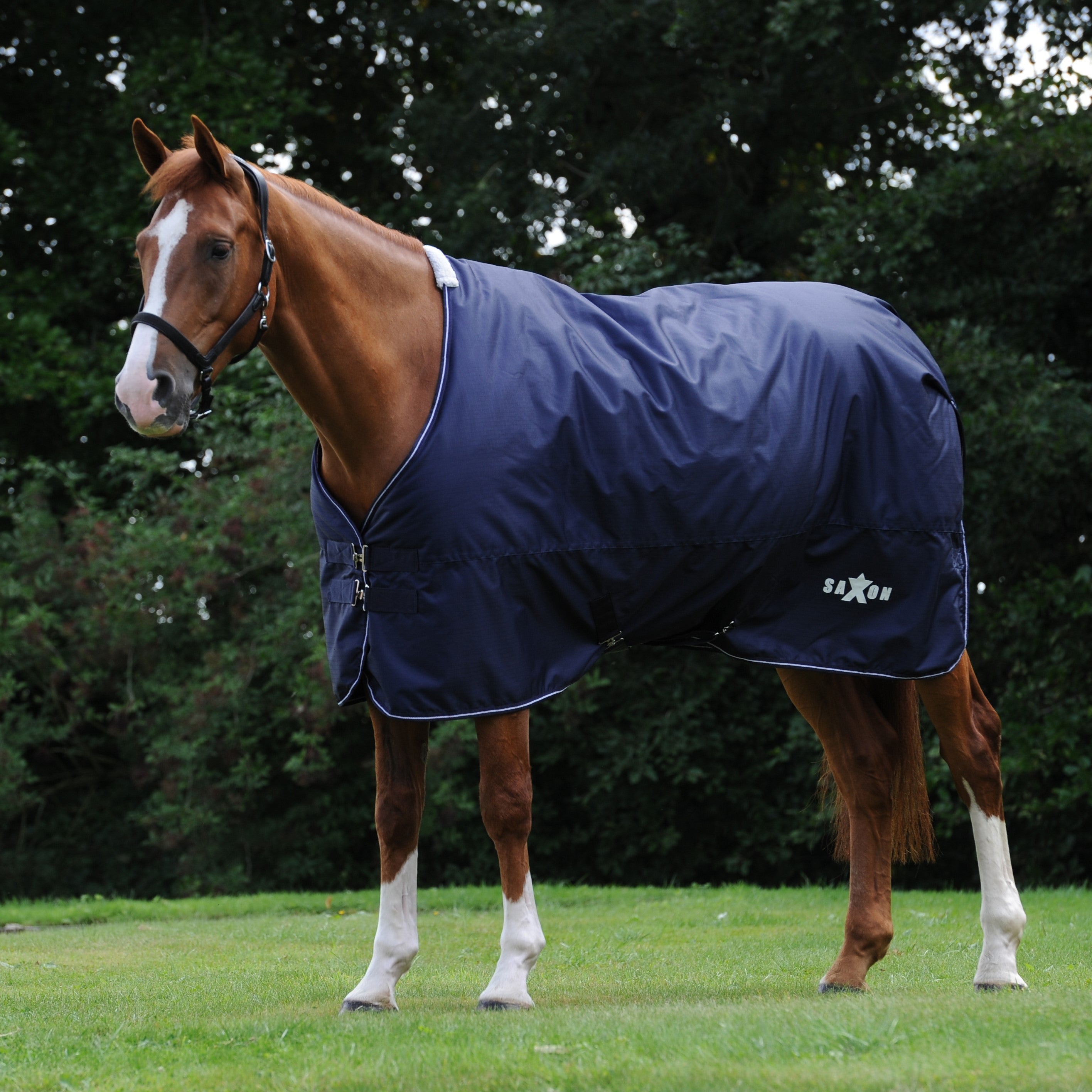 Saxon Defiant 600D Standard Neck Lite Turnout Sheet - Navy