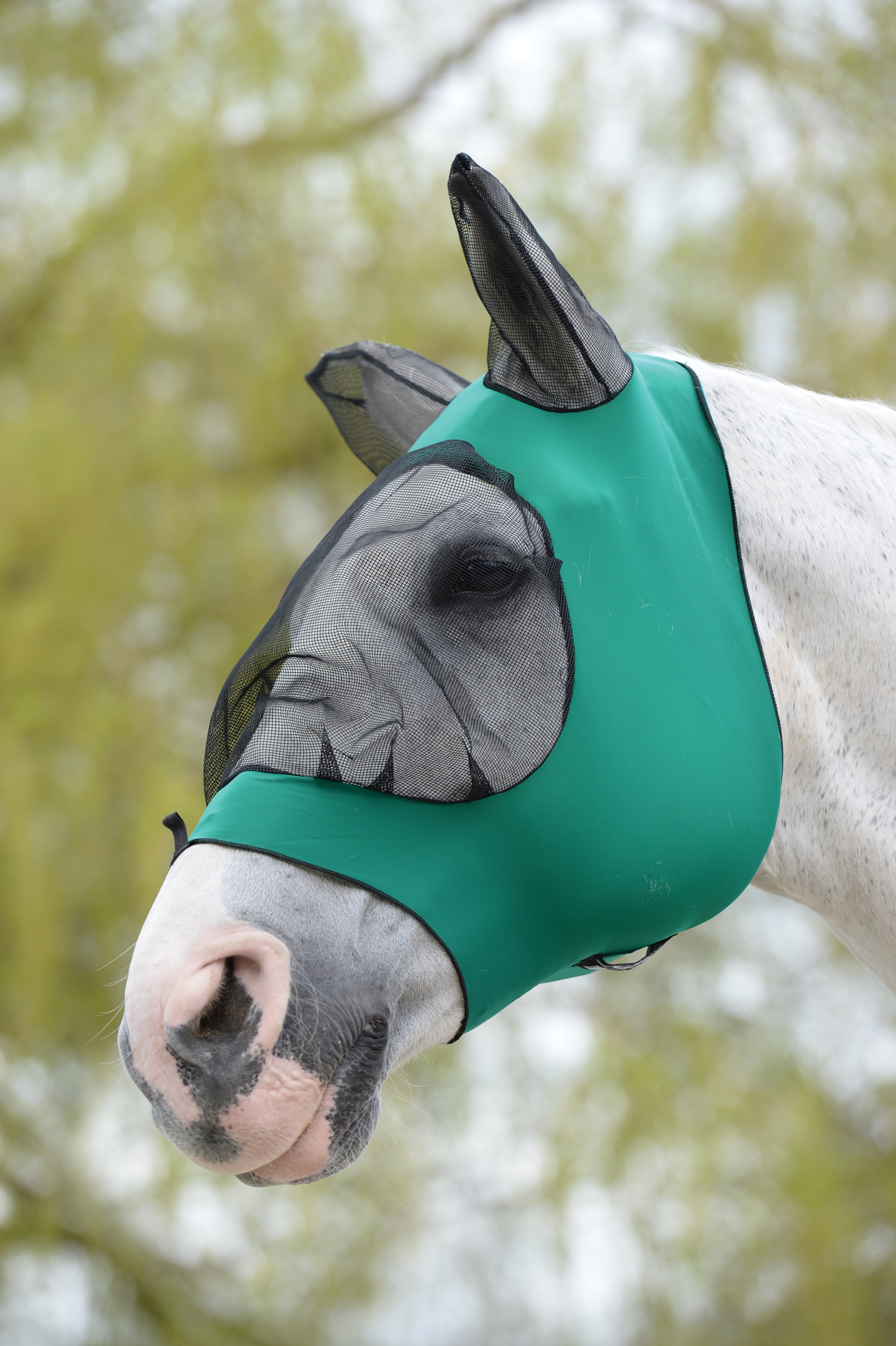 Weatherbeeta Stretch Eye Saver with Ears - Hunter Green