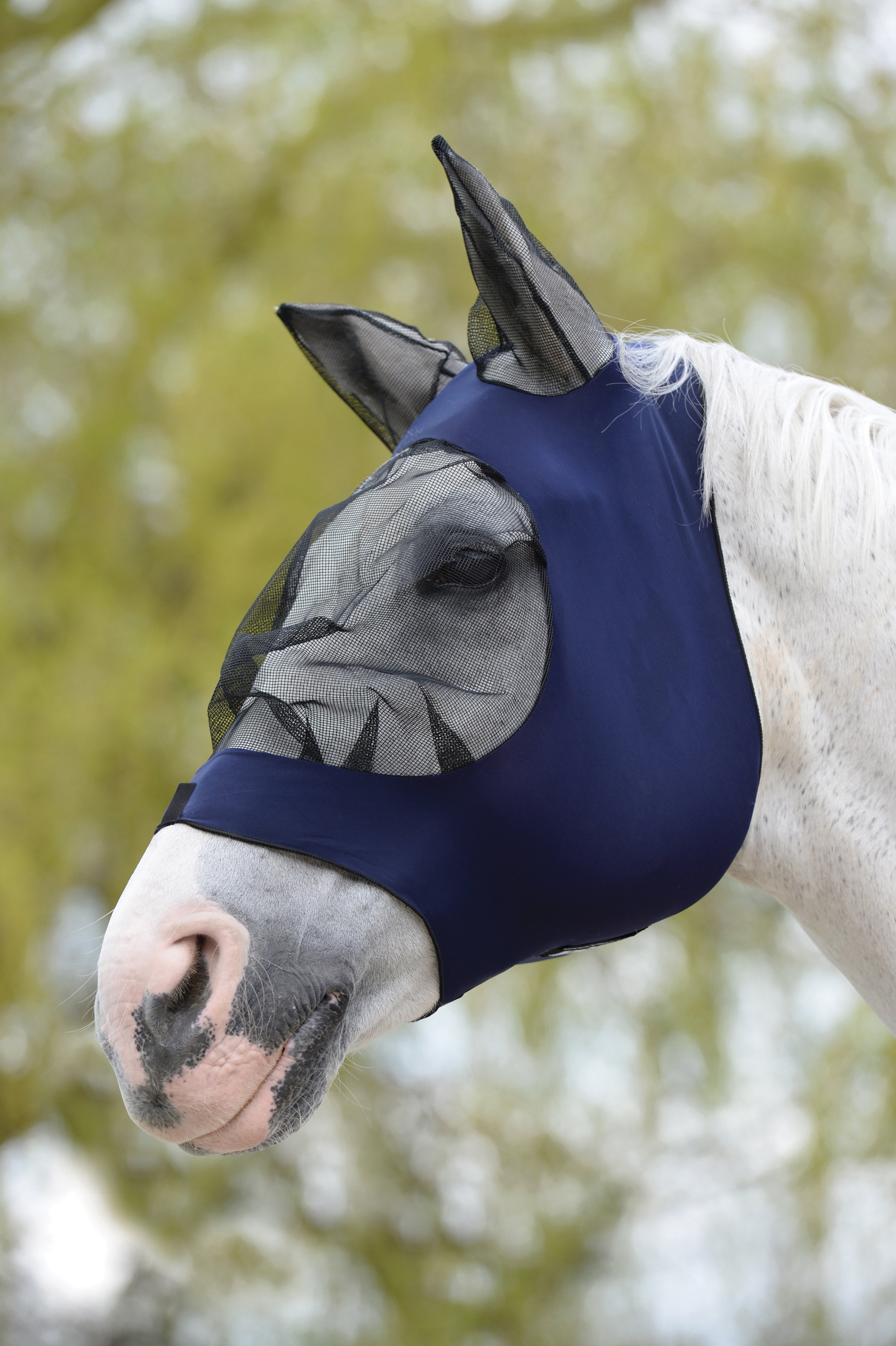 Weatherbeeta Stretch Eye Saver with Ears - Navy