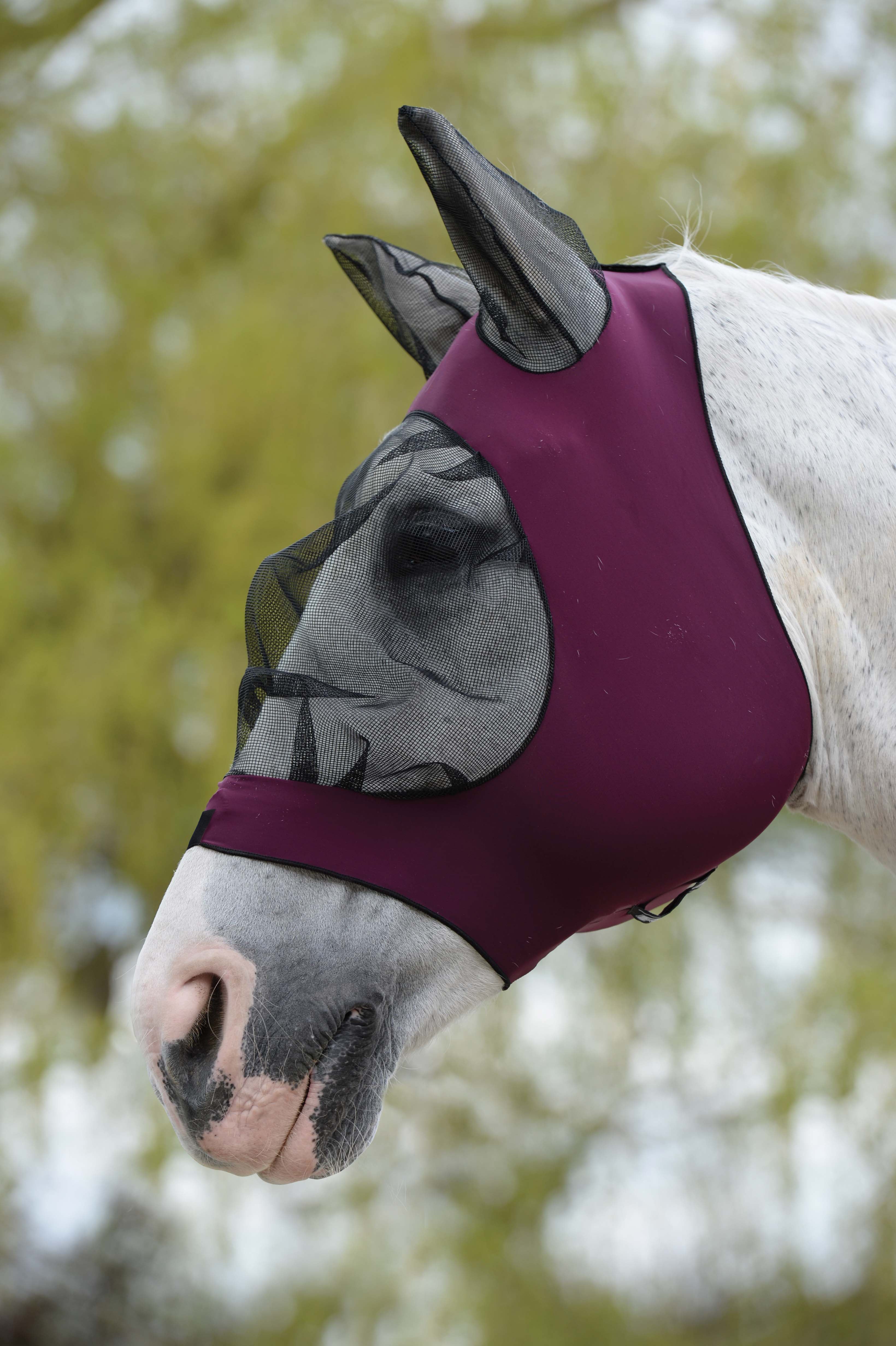 Weatherbeeta Stretch Eye Saver with Ears - Purple