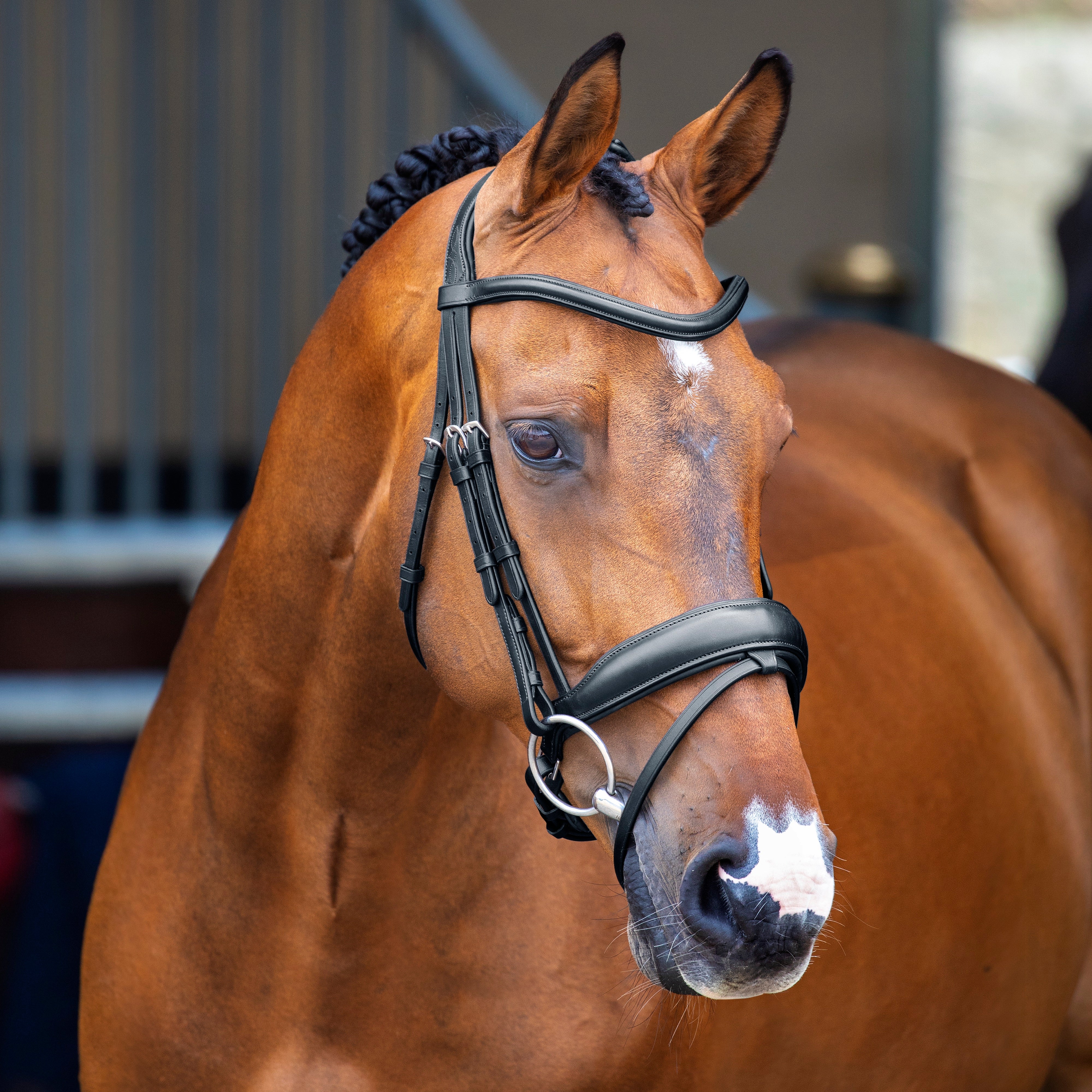 Shires Lusso Dressage Flash Bridle - Black