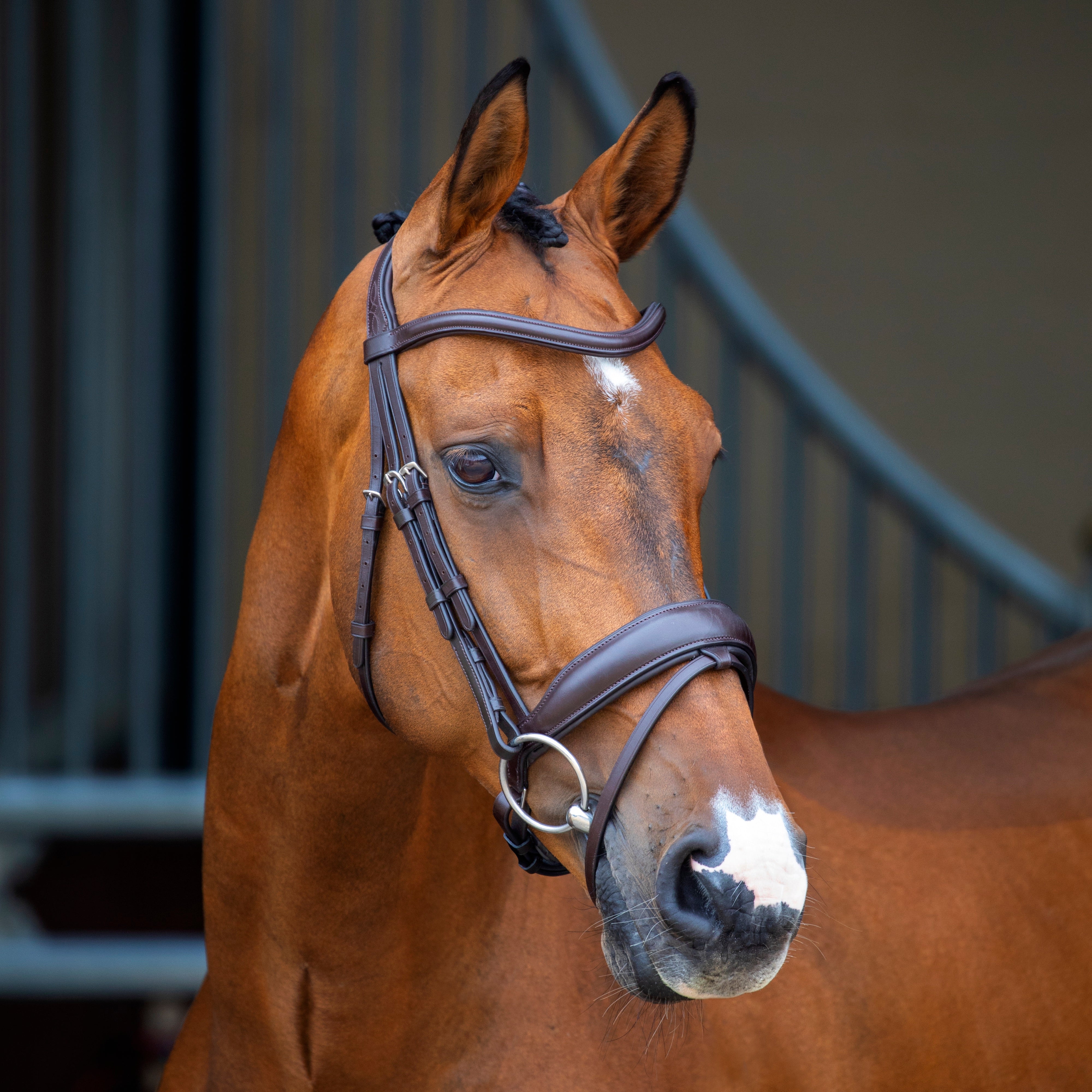 Shires Lusso Dressage Flash Bridle - Havana