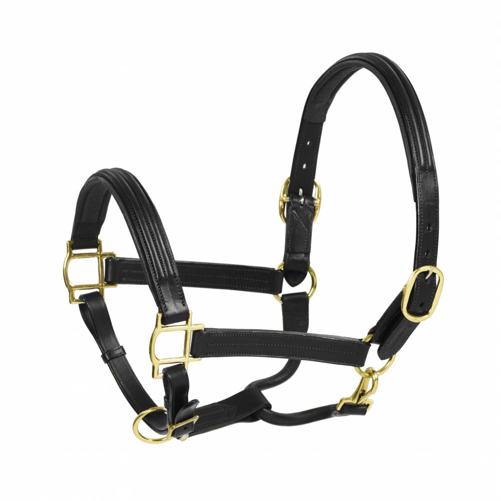 Aramas Double Raised Padded Halter - Black