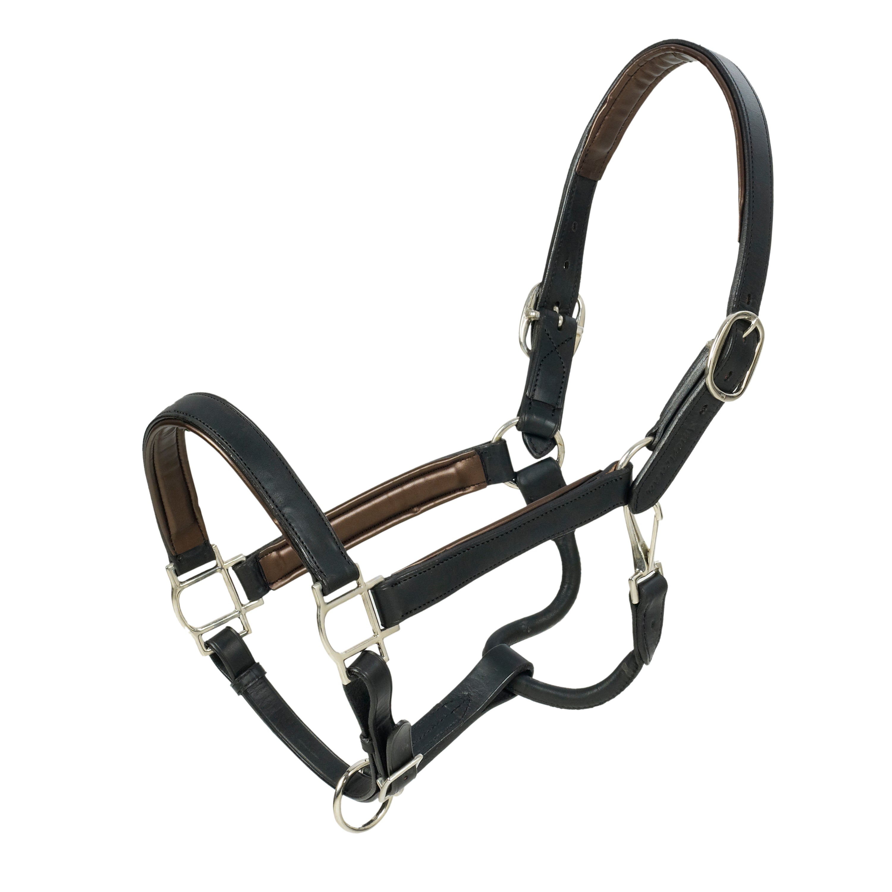 HK Americana Flat Padded Halter - 1 Inch - Black/Bronze