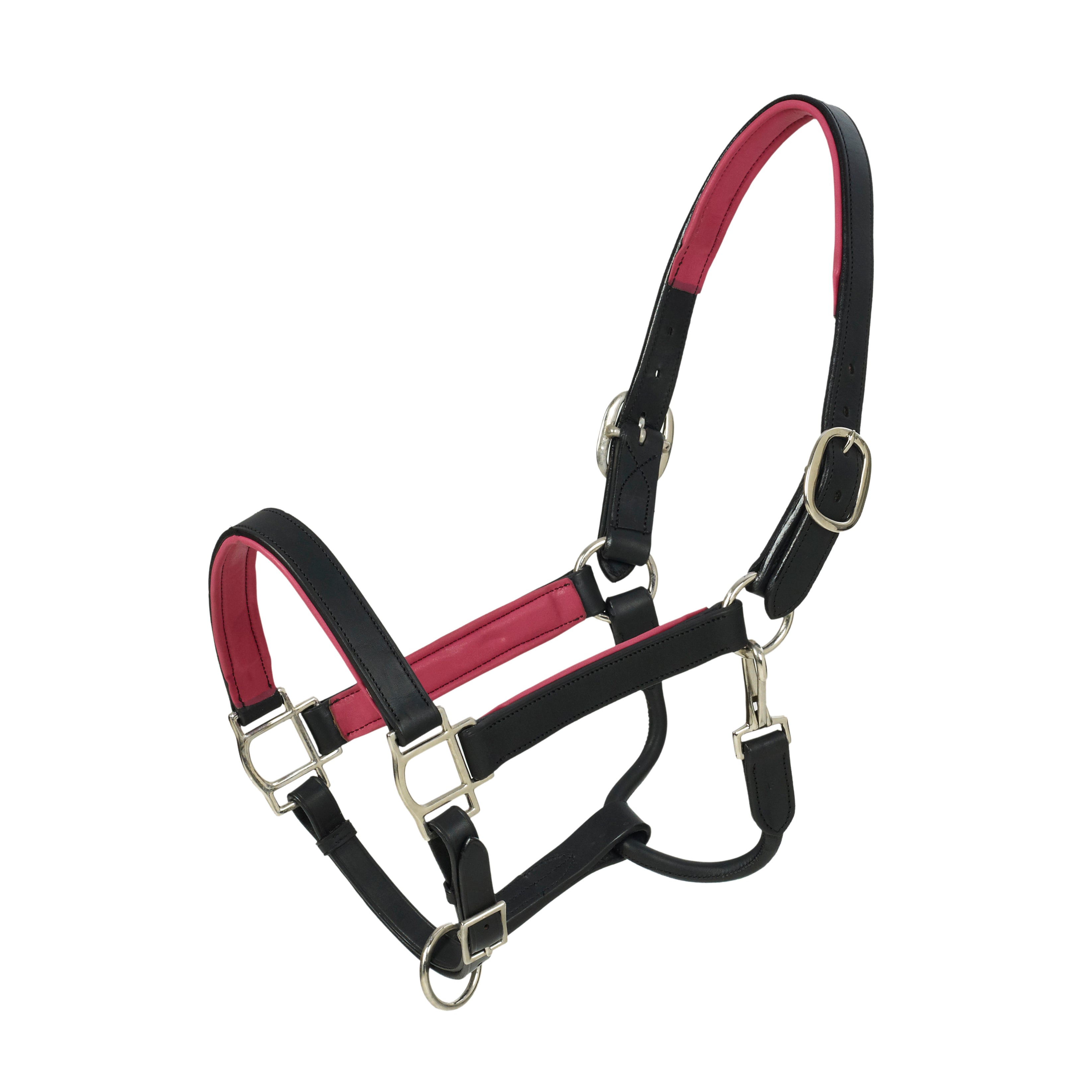 HK Americana Flat Padded Halter - 1 Inch - Black/Pink