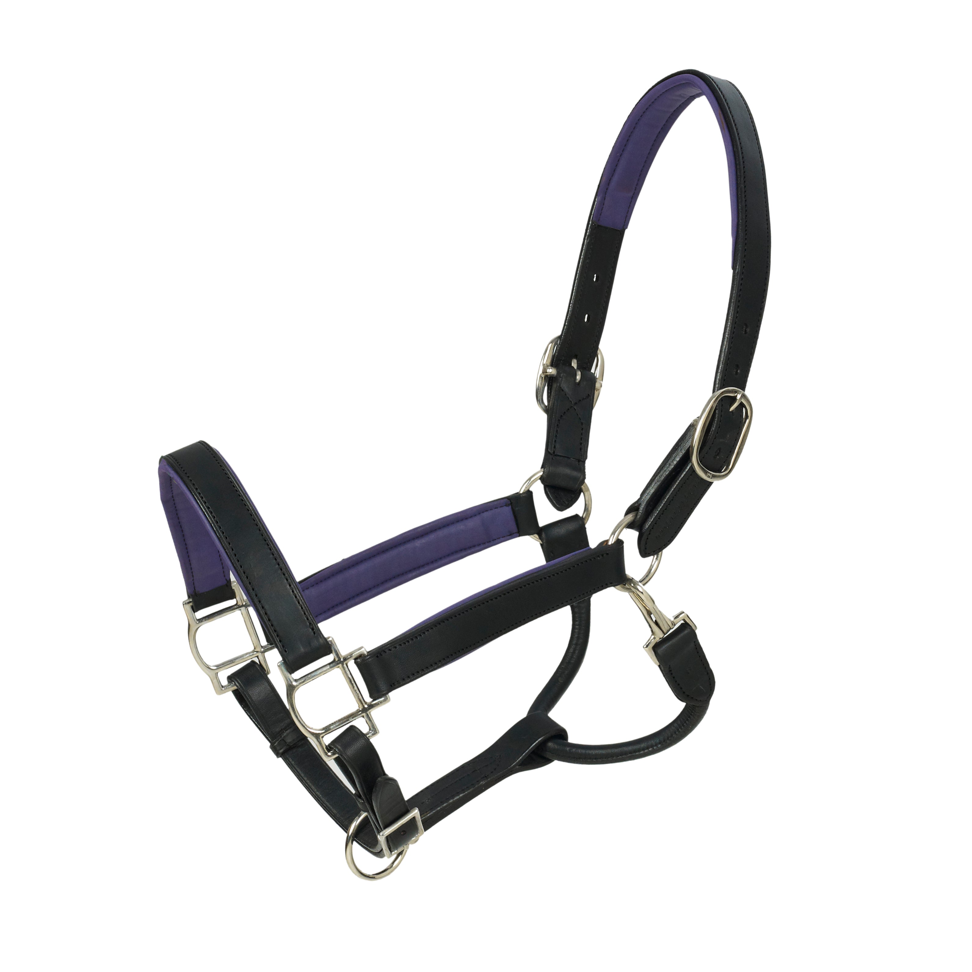 HK Americana Flat Padded Halter - 1 Inch - Black/Purple