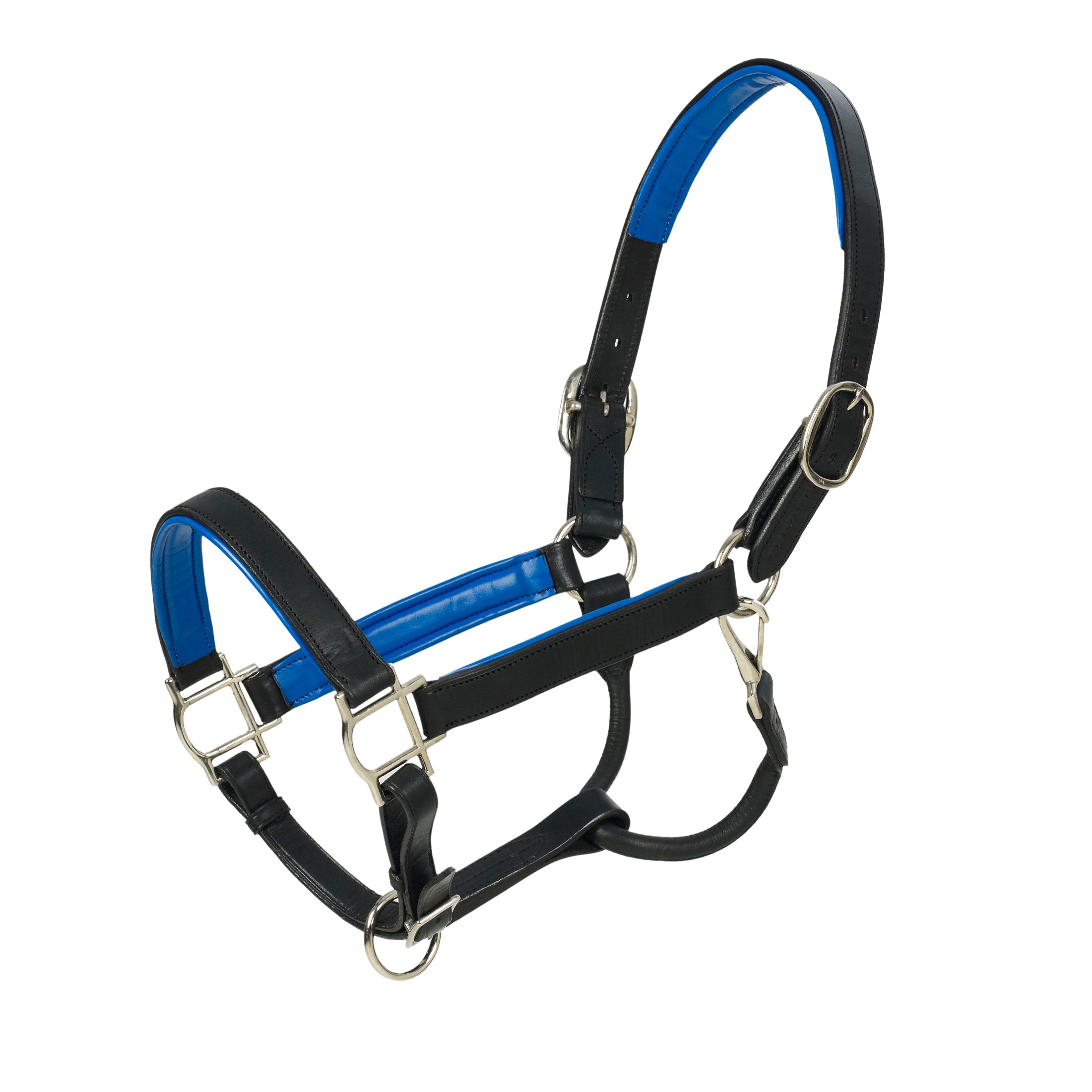 HK Americana Flat Padded Halter - 1 Inch - Black/Blue