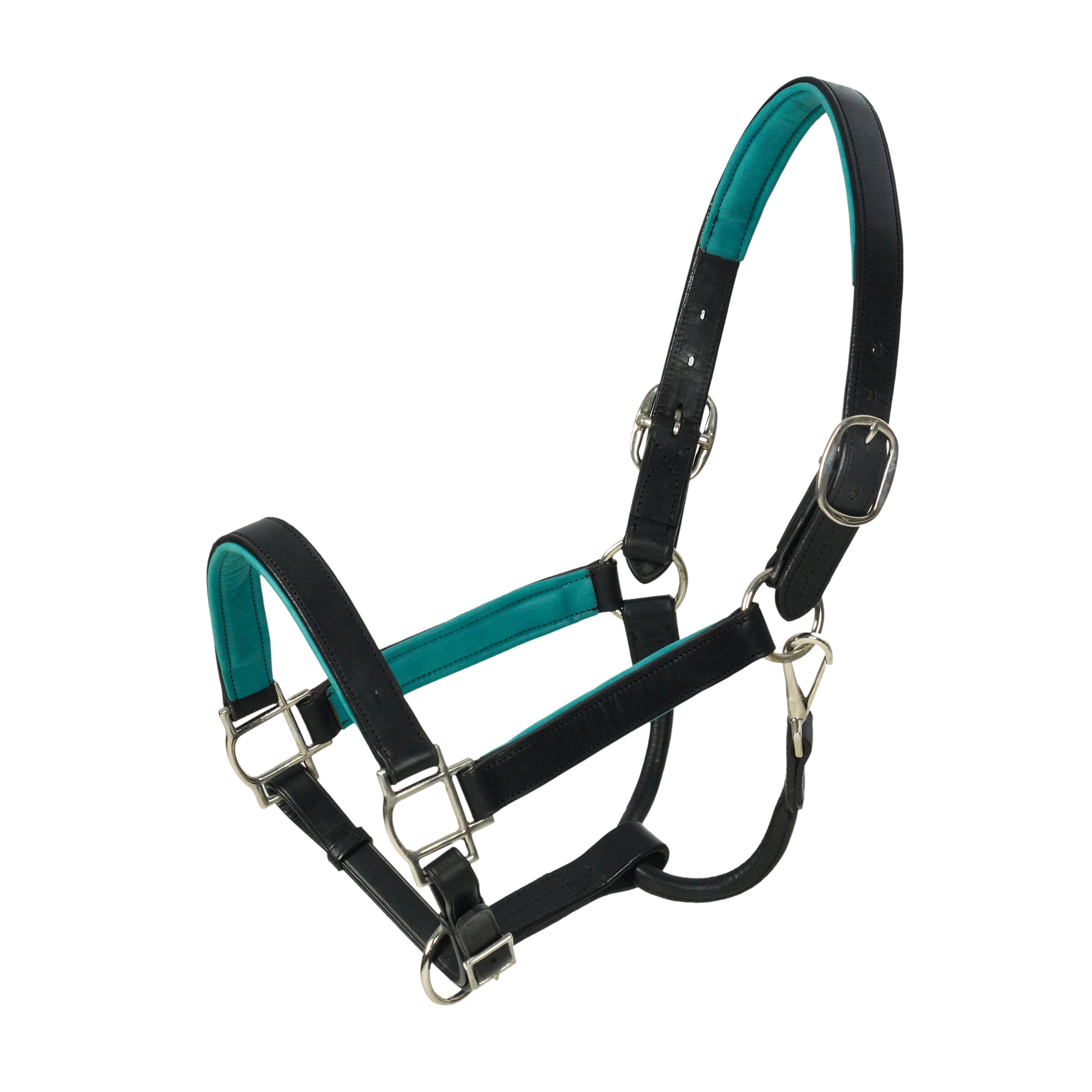 HK Americana Flat Padded Halter - 1 Inch - Black/Teal