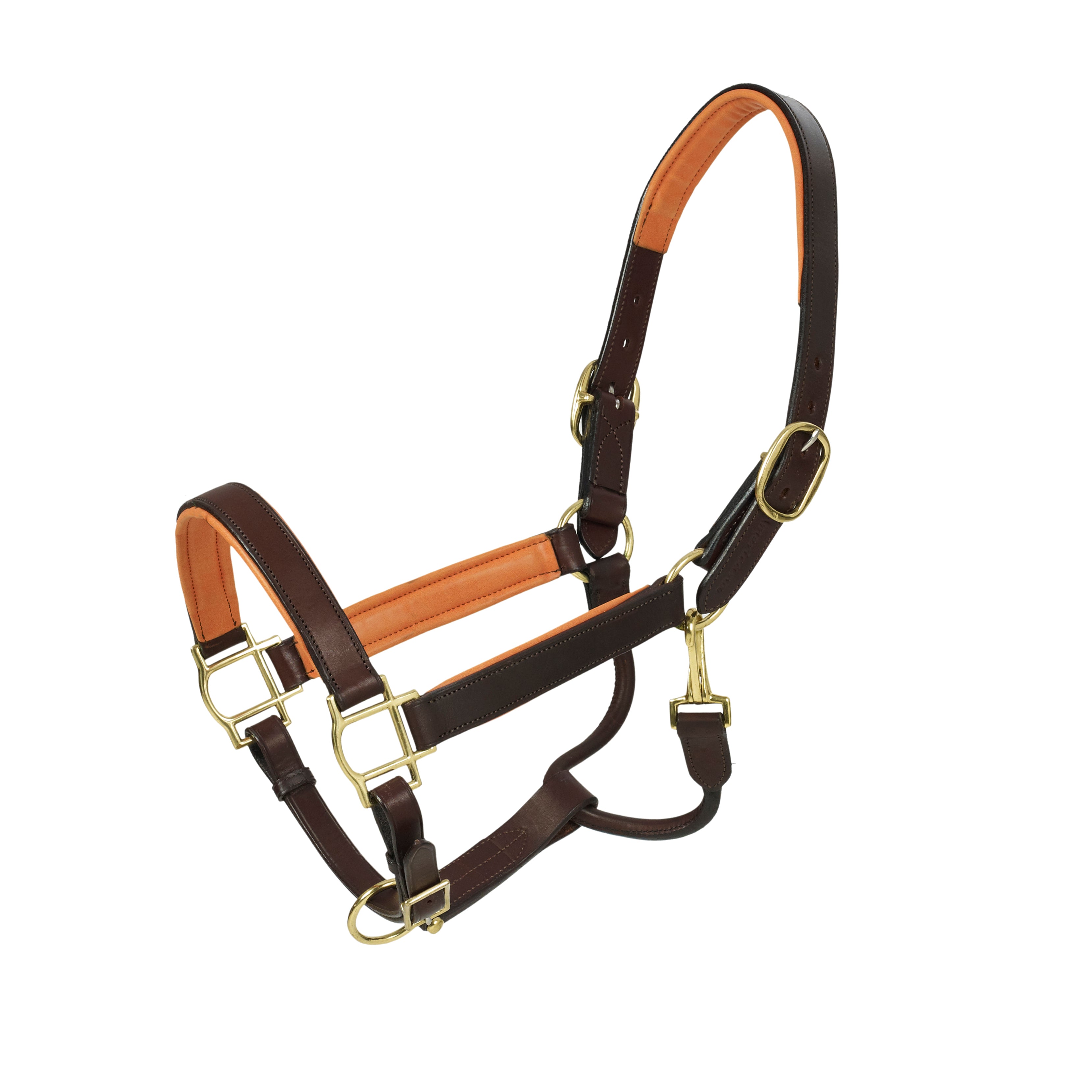 HK Americana Flat Padded Halter - 1 Inch - Brown/Orange