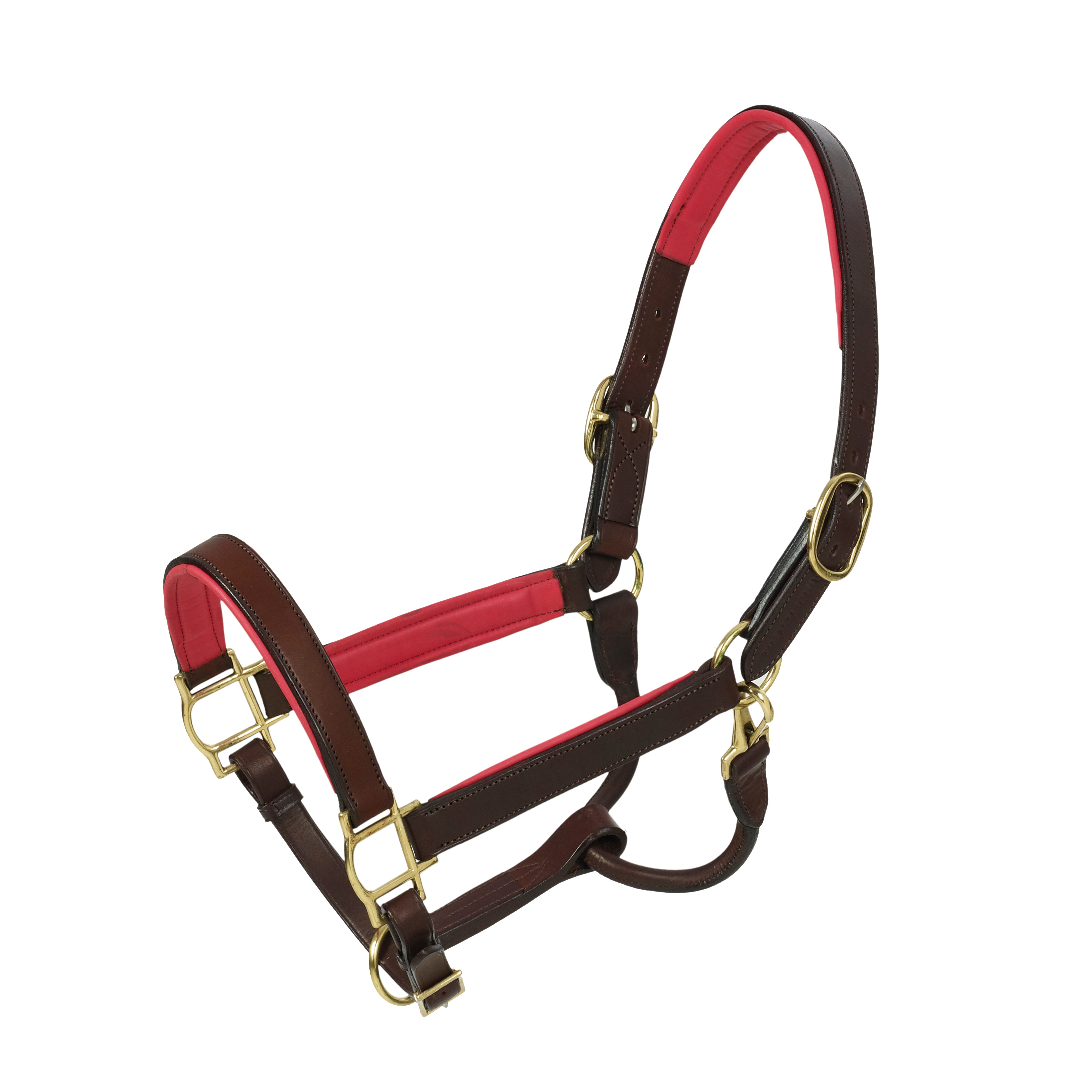 HK Americana Flat Padded Halter - 1 Inch - Brown/Raspberry