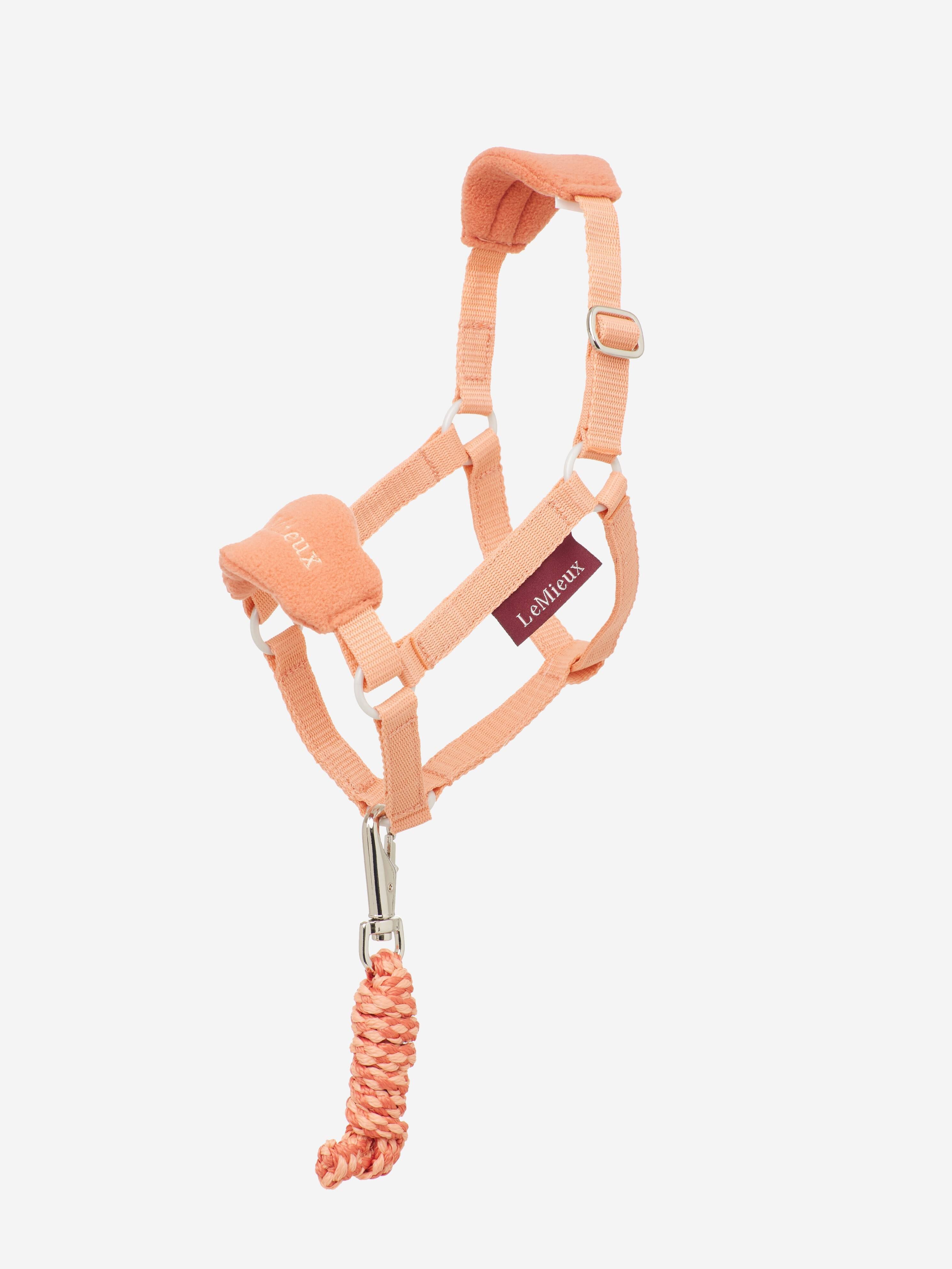 LeMieux Hobby Horse Halter - Apricot