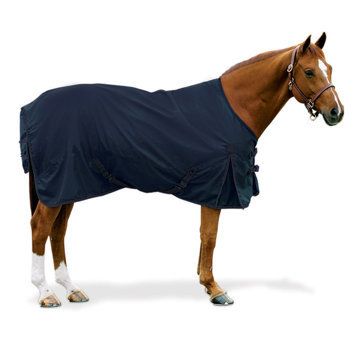 EQ 600D Medium Turnout Blanket - Navy