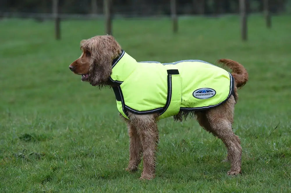 WeatherBeeta ComFiTec Reflective Parka 300D Dog Coat - 60037617