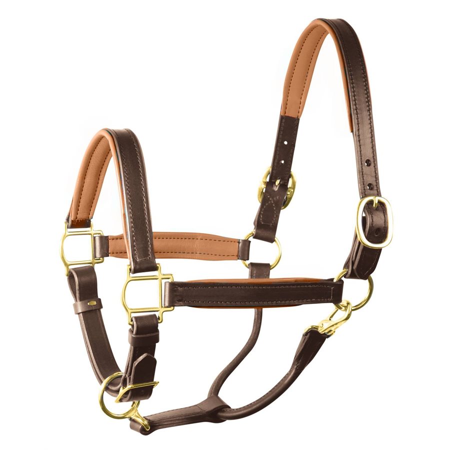 Perri's Padded Leather Halter - 109466