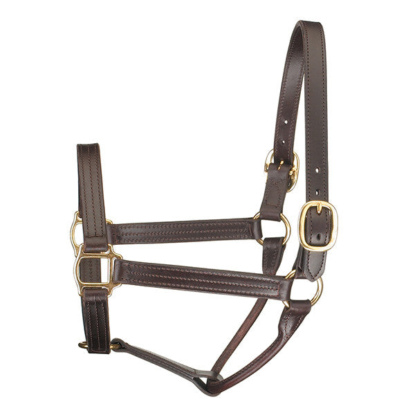 Perri's 1 inch Premium Track  Show Halter - main