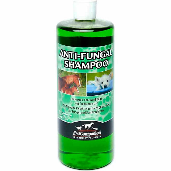 First Companion Anti-Fungal Horse Shampoo