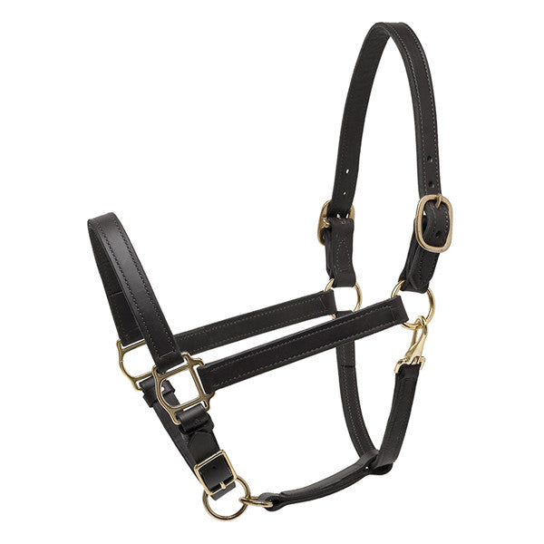 Perri's Black Leather Deluxe Turnout Halter - main