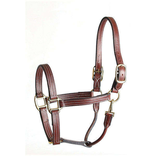 Perri's Leather Stable Halter - main