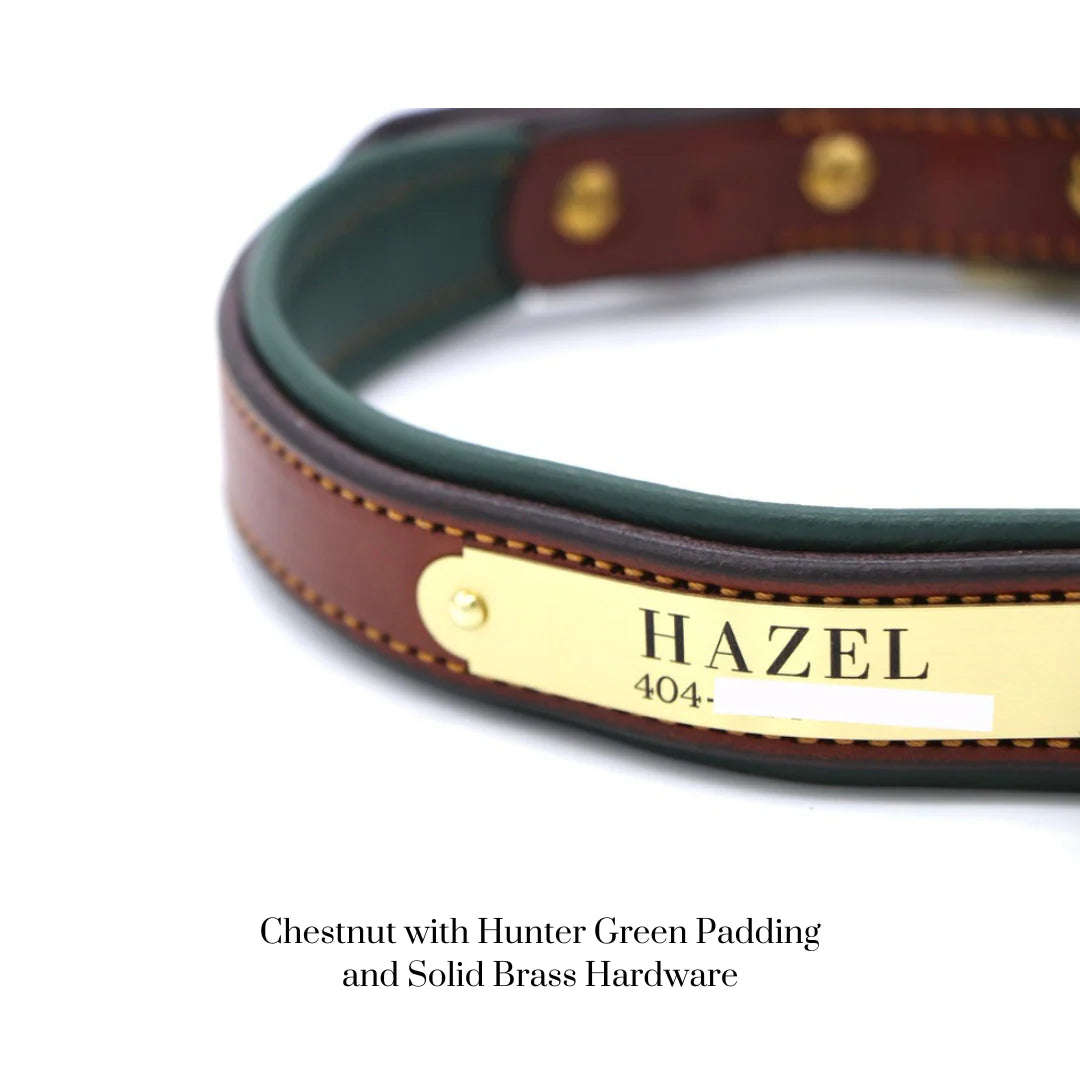 Custom Padded Dog Collar