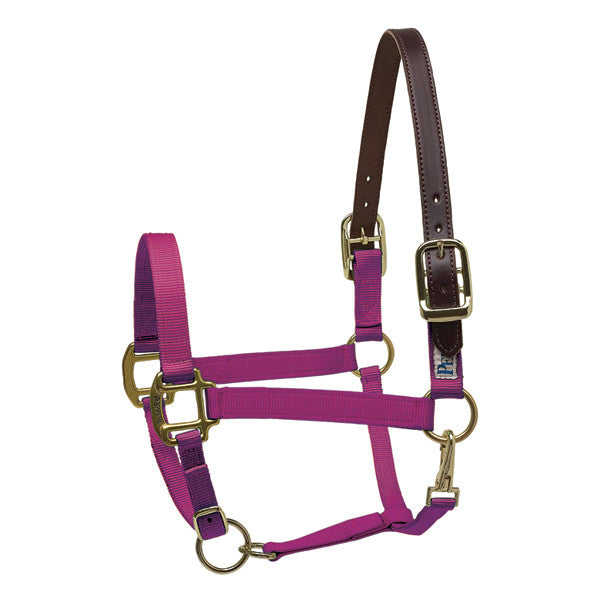 Perri's Premium Nylon Safety Halter - supporting