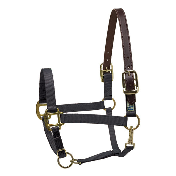 Perri's Premium Nylon Safety Halter - supporting