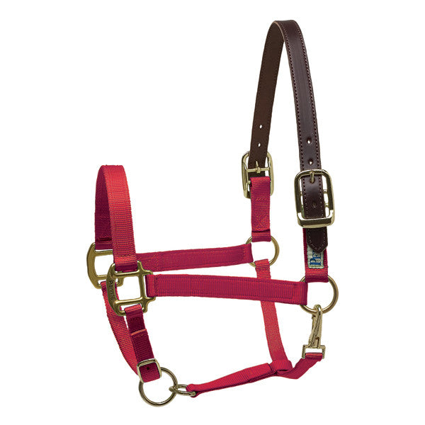 Perri's Premium Nylon Safety Halter - main