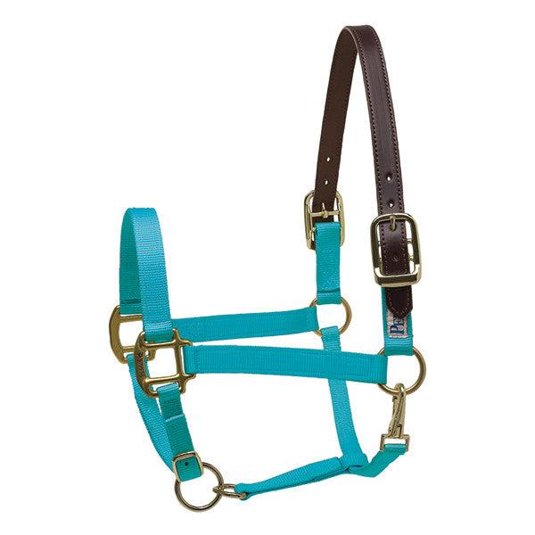 Perri's Premium Nylon Safety Halter - supporting