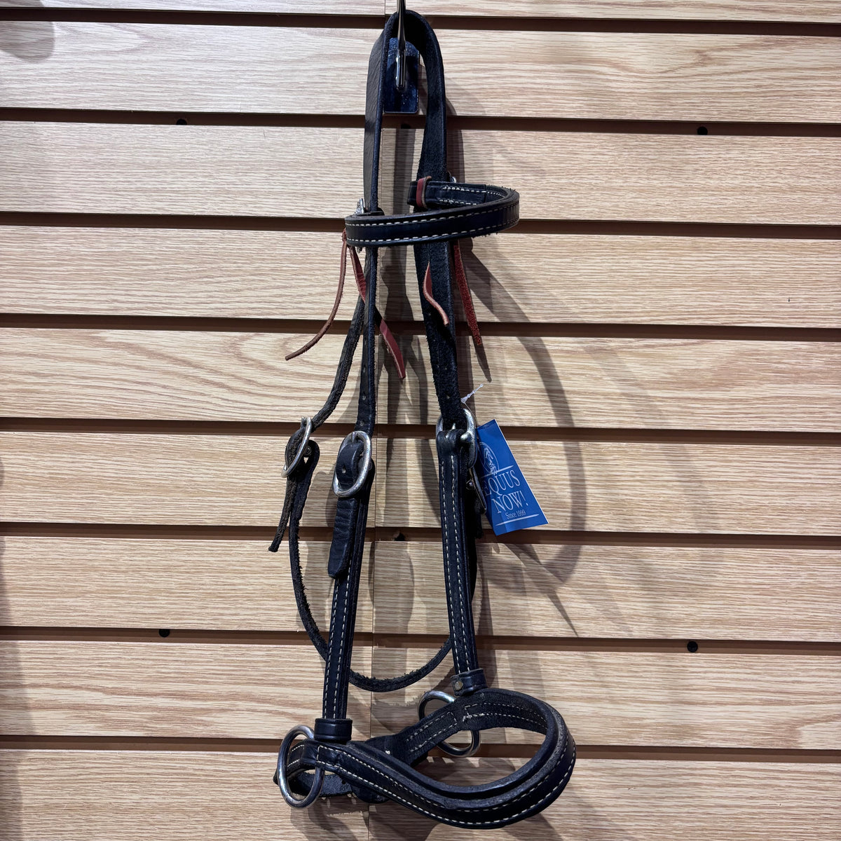Used Horse Black Western Style Side Pull