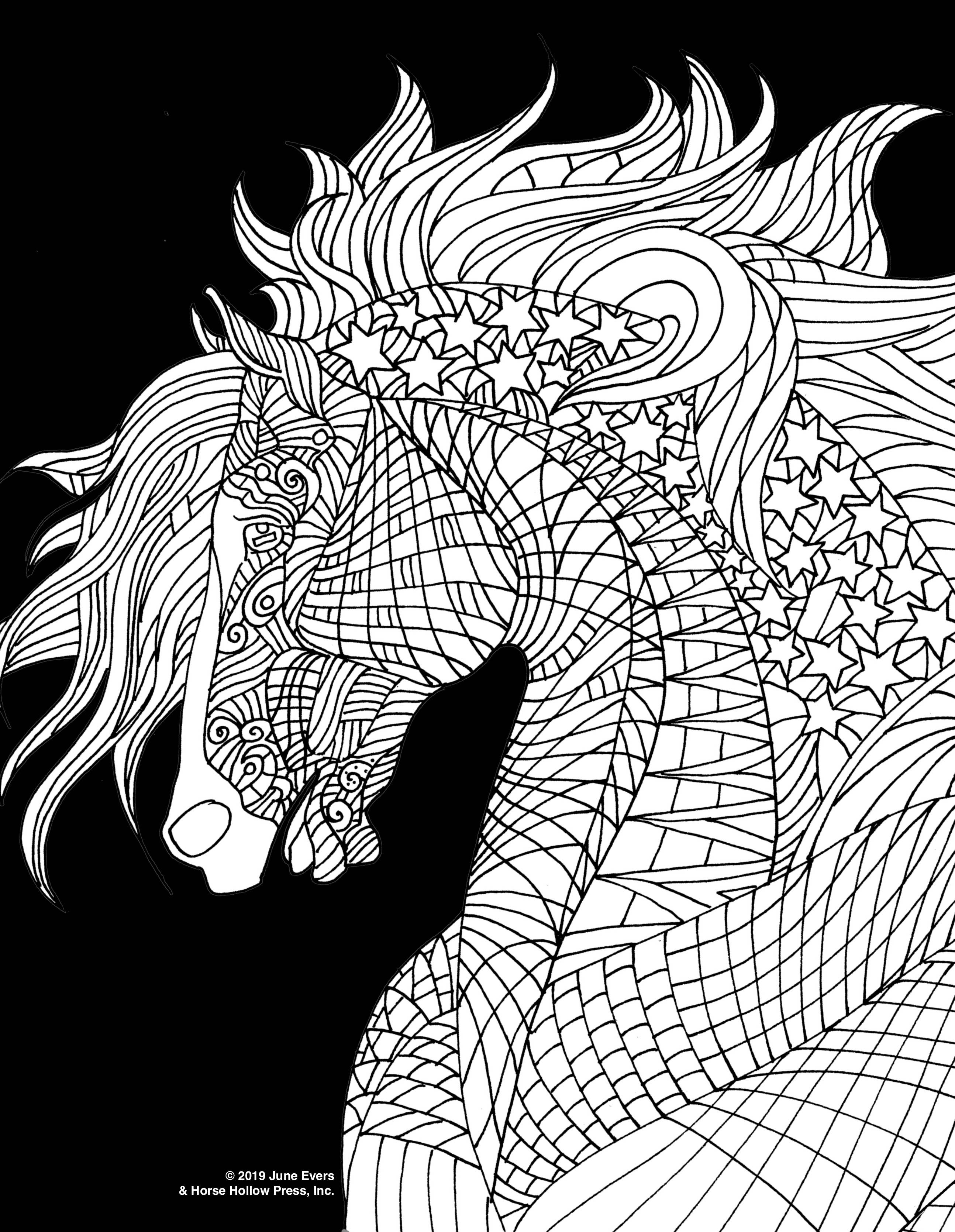 Pretty Horses Kit / 6 Drawings to Color / 24-Colored Pencils