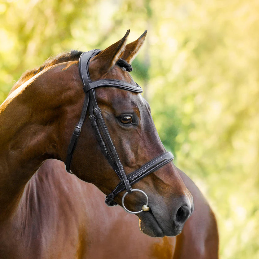 Lumiere Milan Leather Bridle