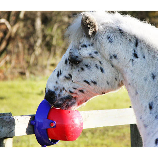 Likit Tongue Twister