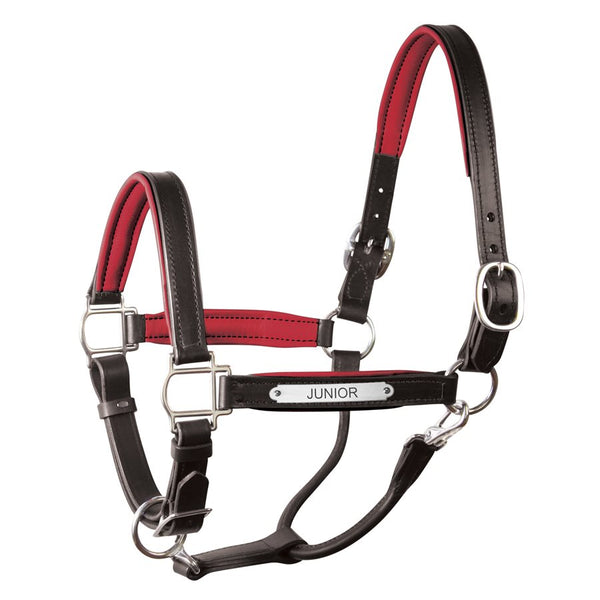 Perri's Padded Leather Halter with Nameplate