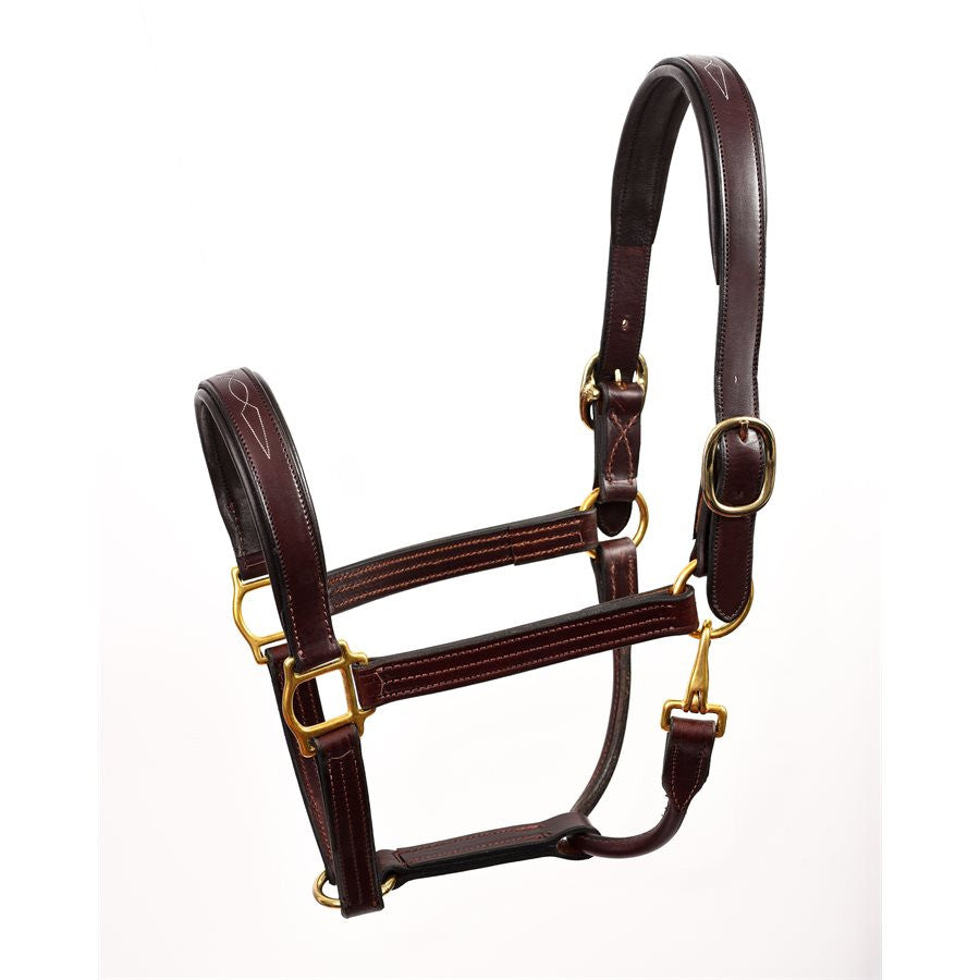 Perri's Fancy Stitched Leather Halter - supporting