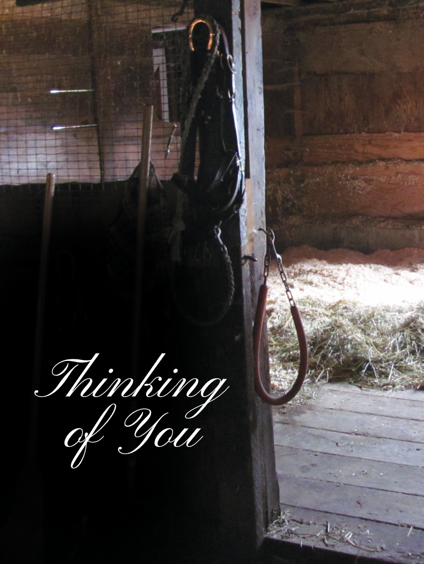 Horse Sympathy Greeting Card / Thinking of You