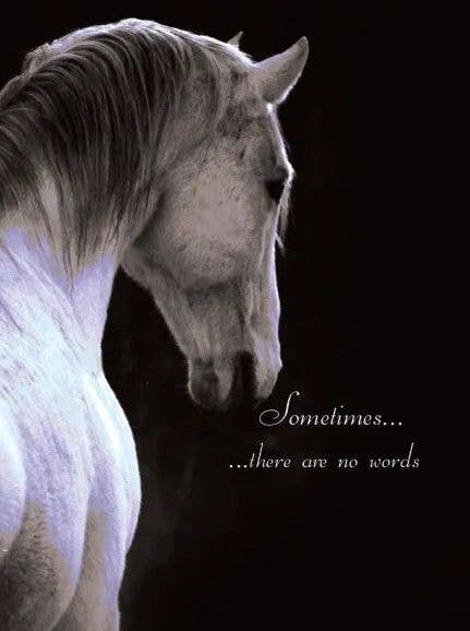 Horse Sympathy Greeting Card / Sometimes There are no Words