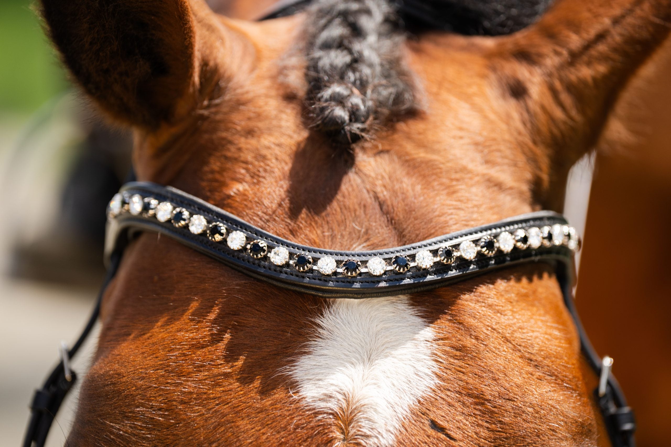 KL Select Black Oak Daphne Bridle with Reins