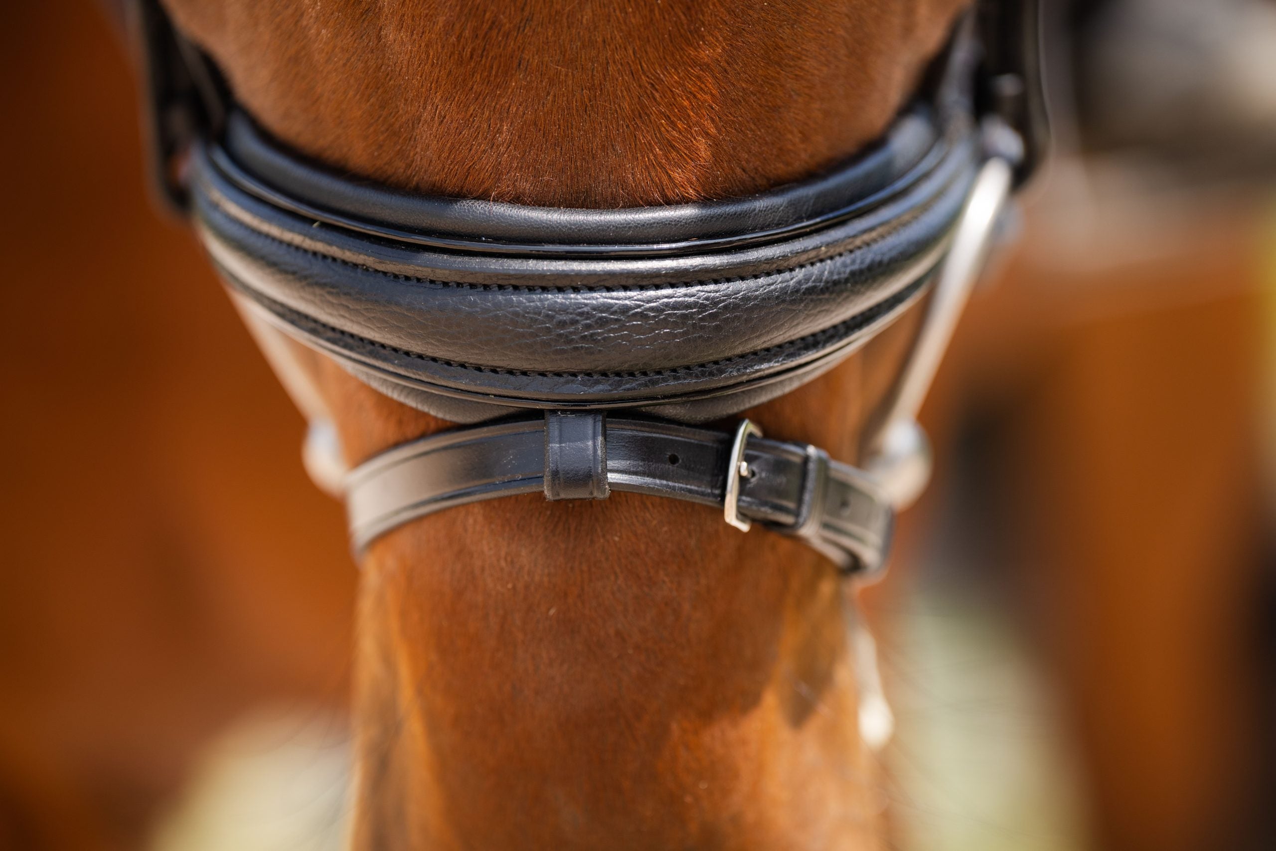 KL Select Red Barn Olympian Dressage Bridle