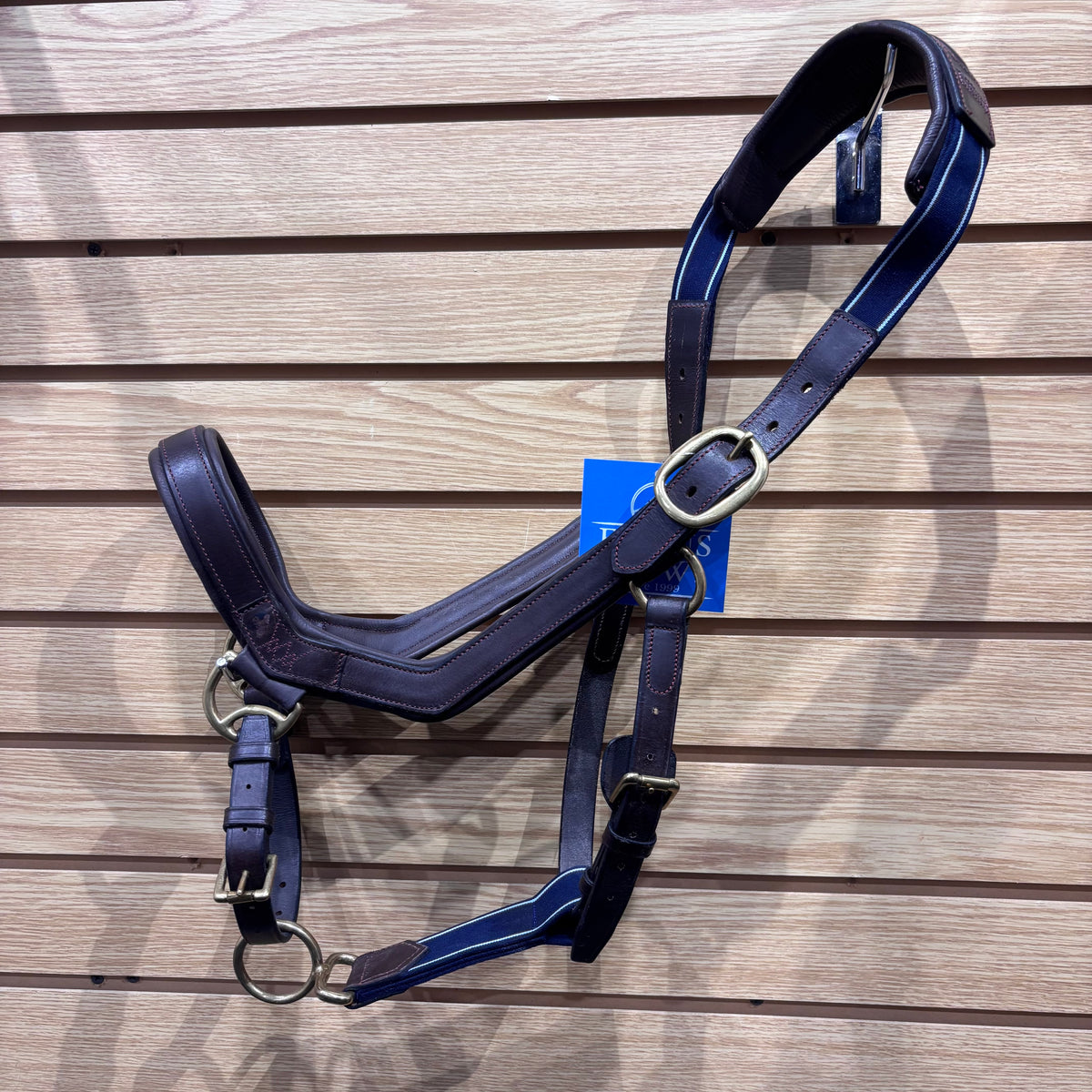 Used "Standard Horse" Brown/Navy Rambo Micklem Leather Halter